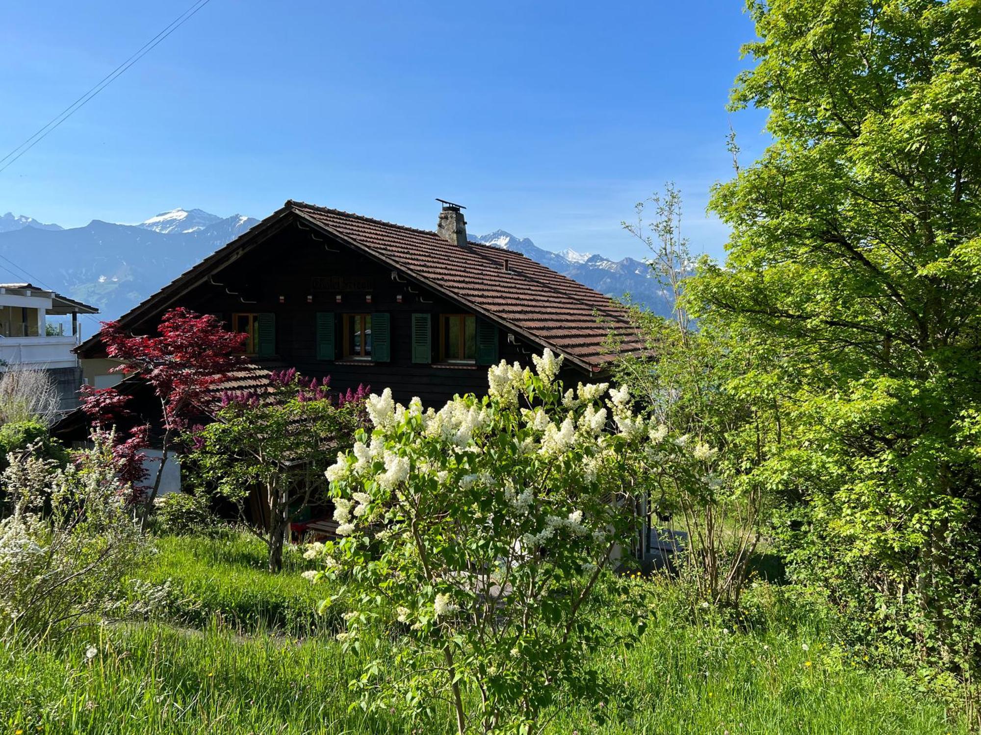 Chalet Friesli Beatenberg Buitenkant foto